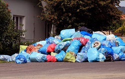 Waste Removalists in W1K